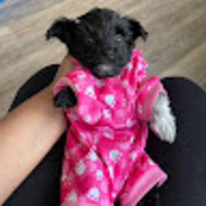 Meet your Posher, Benita